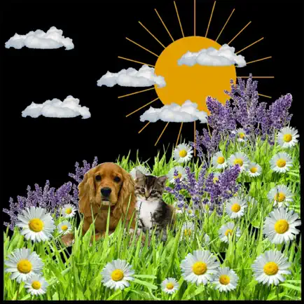 Allergy Diary Читы