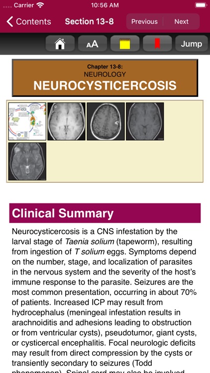 Atlas of Pediatric ER Med, 3/E screenshot-3