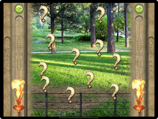 FlipPix Art - Zoo iPad screenshot 3 - Games app