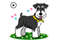 Animated Miniature Schnauzer