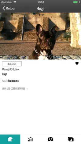 Game screenshot Les chiens en photos apk
