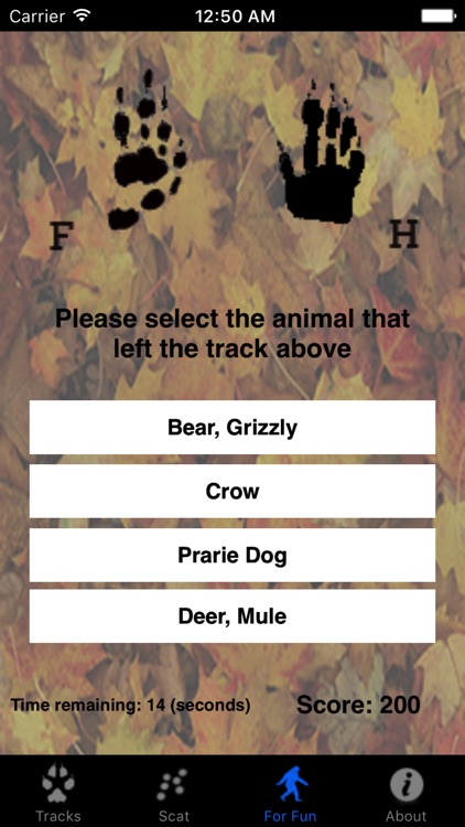 Critter Trax - Animal Tracks