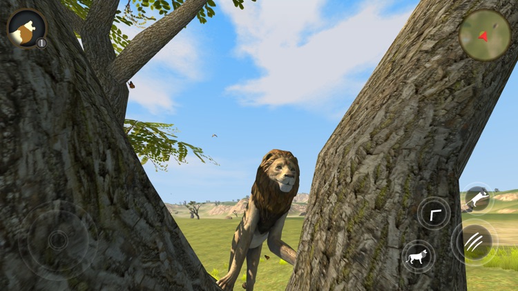 Wild Lion Survival Simulator