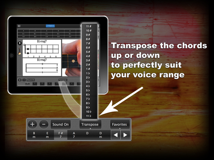 Balalaika Chords lite LR