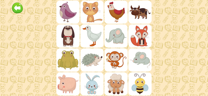 Baby Flashcards First Words