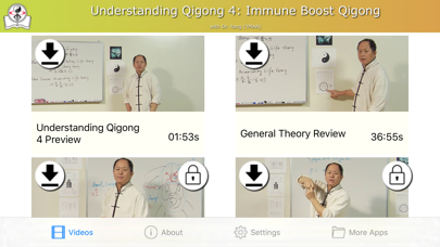 Four Seasons Qigong Video Screenshot