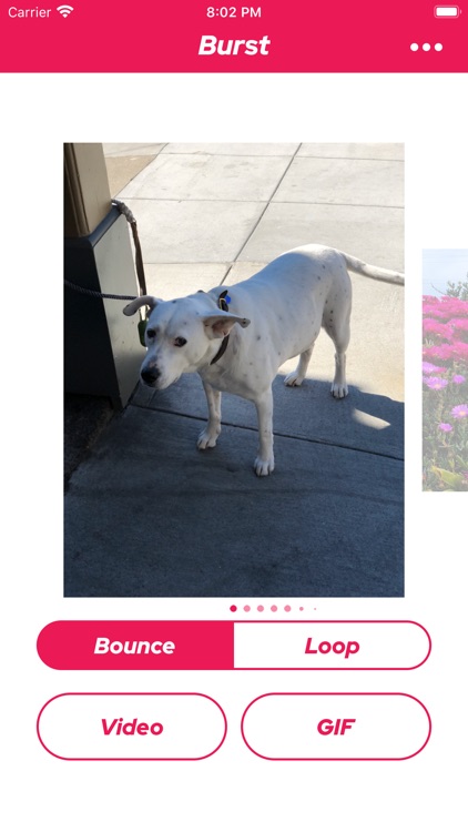 The Burst App