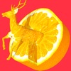 Icon Fruit Carving Game