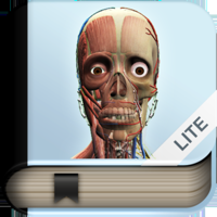 Explain 3D Human body LITE