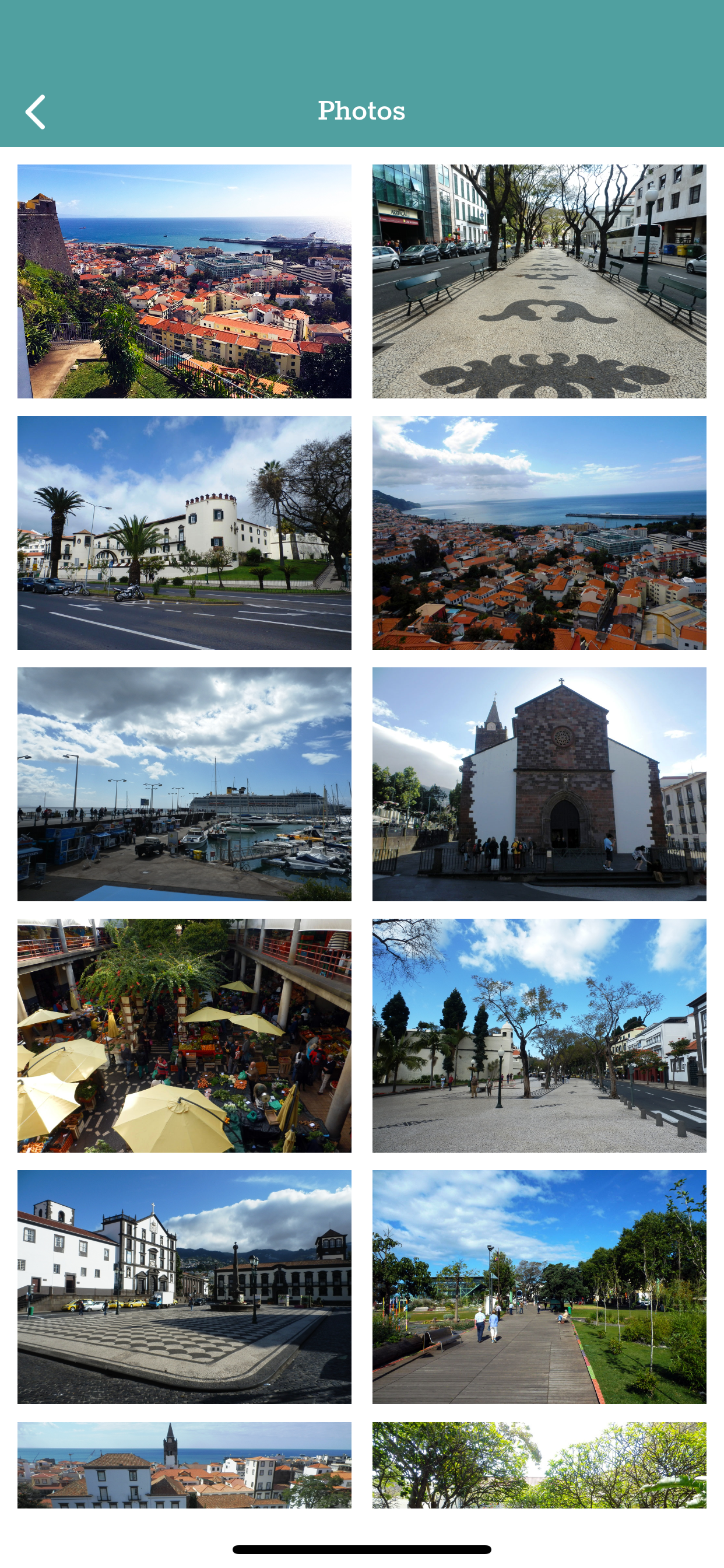 Madeira Funchal & Garden Tours screenshot 5