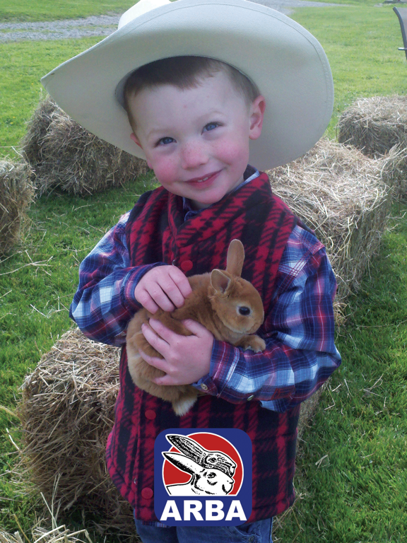 ARBA iPad screenshot 1 - Education app