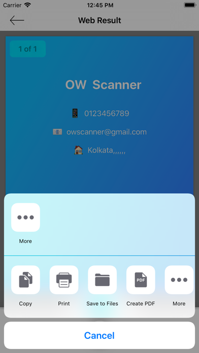 OWScanner screenshot 4