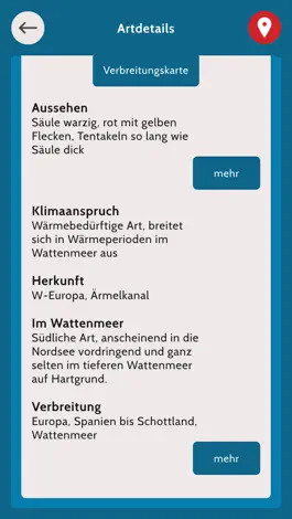 Game screenshot Beach Explorer hack