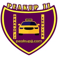 PEAKUPJJ Driver pour PC