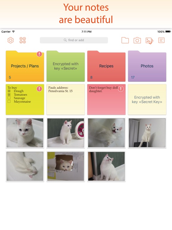 In Folders – Notes and Photos iPad screenshot 1 - Productivity app
