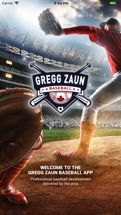 Screenshot #1 pour Zaun Baseball