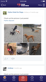 Paw Partner screenshot
