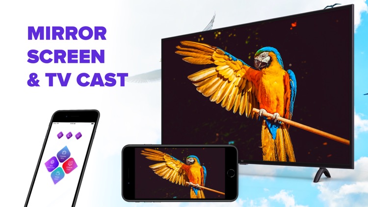 Screen Mirroring - TV Cast