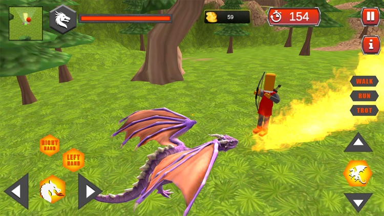 Village Dragon Combat