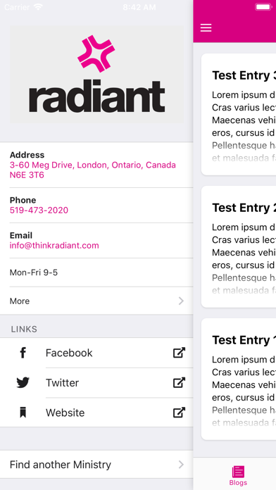 Screenshot #1 pour Radiant WebTools