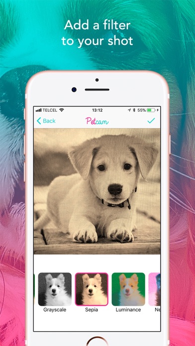 How to cancel & delete Petcam - Pet Camera from iphone & ipad 4