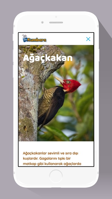 Kumbara Dergisi iPhone screenshot