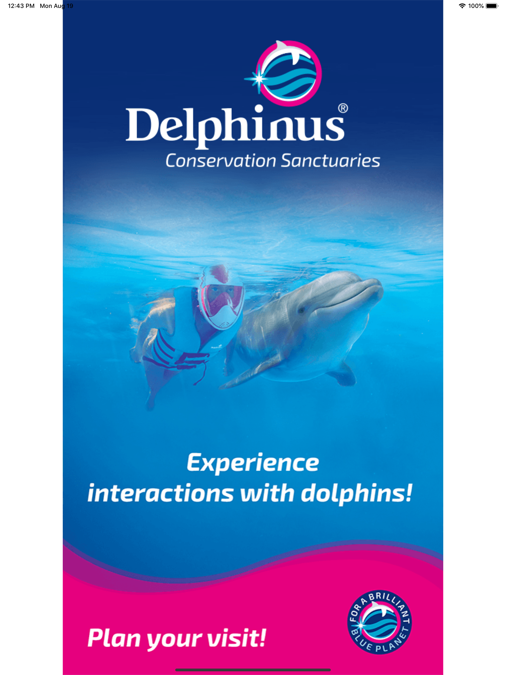 Delphinus screenshot 7