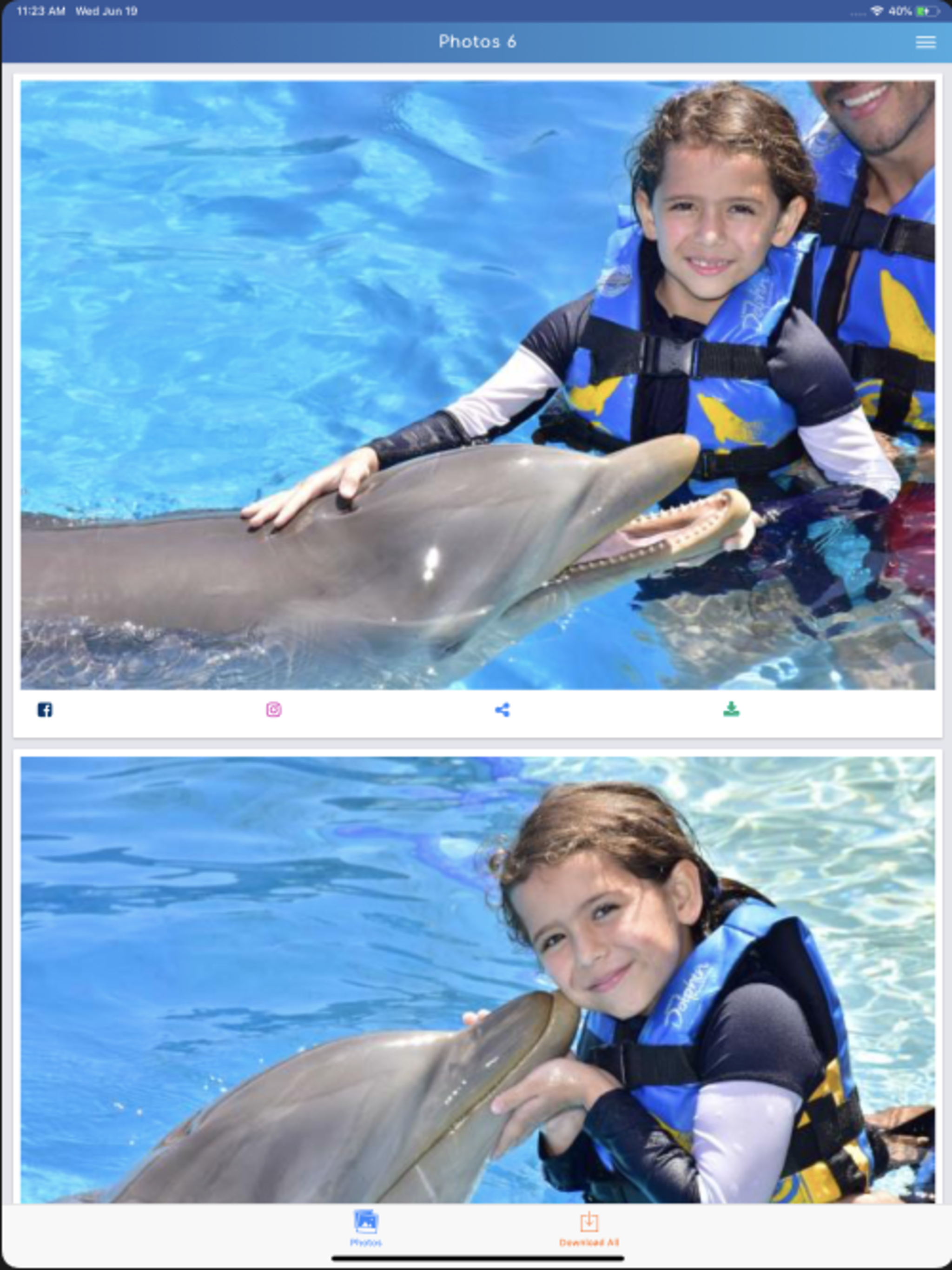 Dolphin Memories