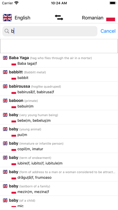 Romanian-English Dictionary Screenshot