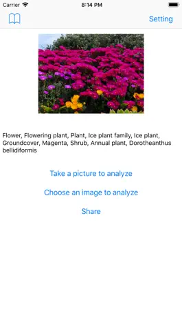 Game screenshot PhotoAnalyze AI photo analyzer mod apk