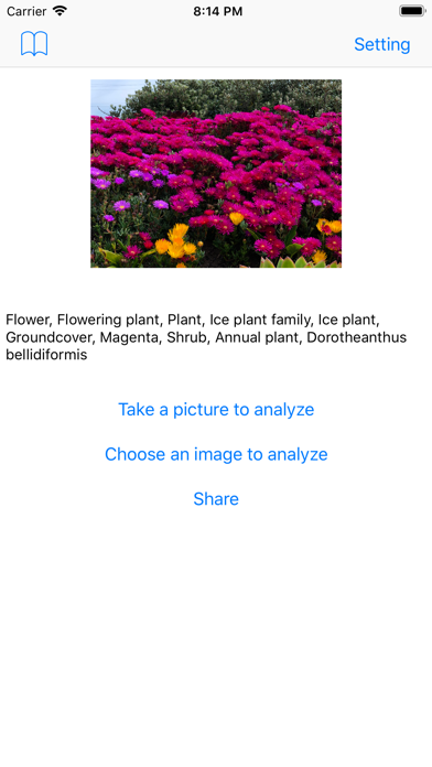PhotoAnalyze AI photo analyzer Screenshot