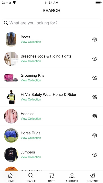 Divine Equine Designs