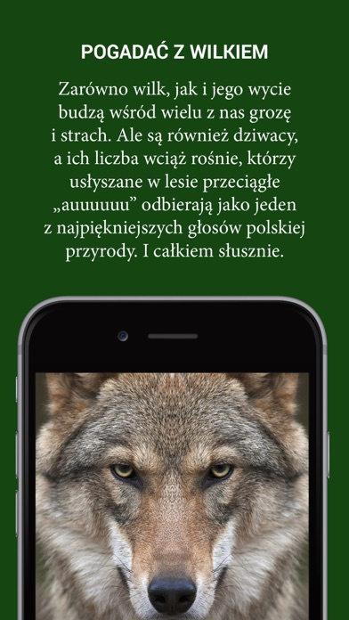 Screenshot #1 pour Echa Leśne
