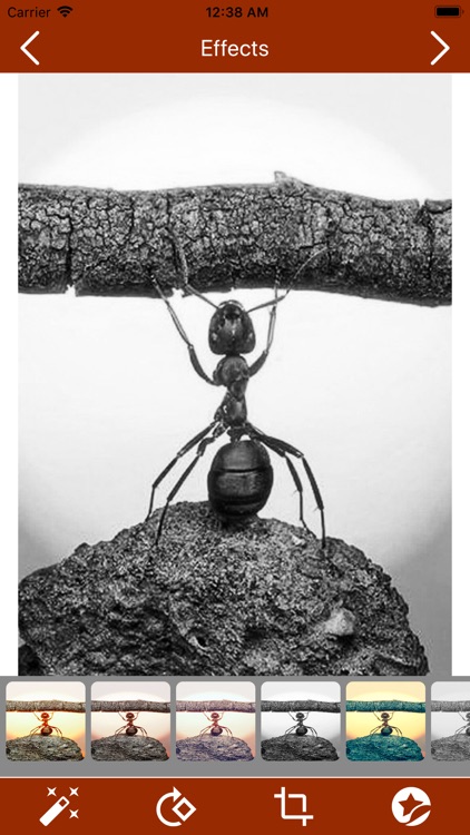 Funny Pictures and Backgrounds screenshot-3