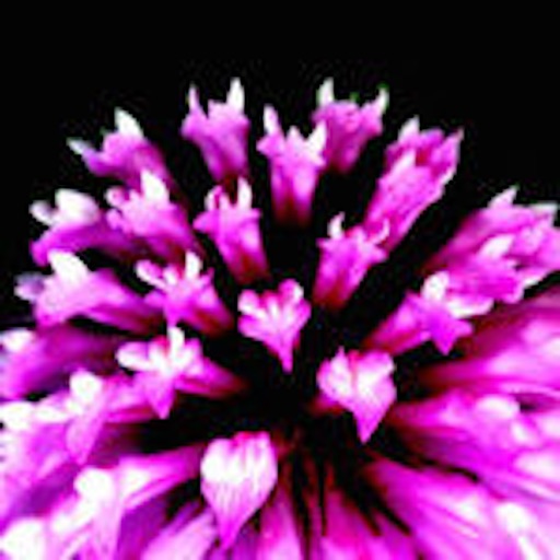 Flora Europe iOS App