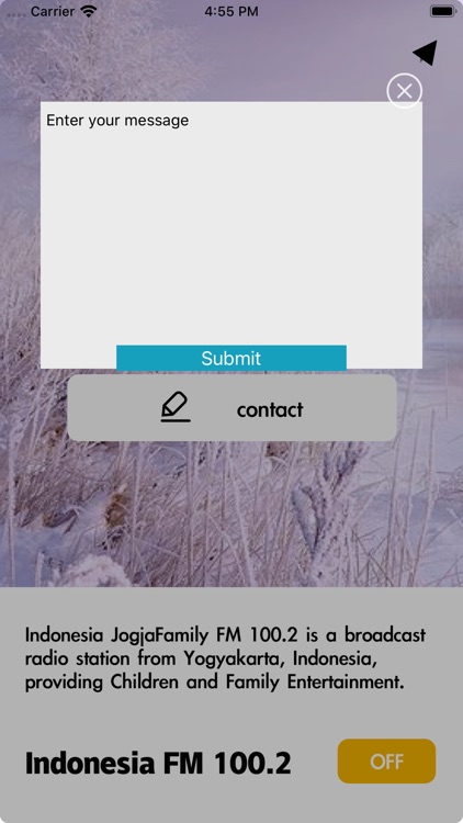 Indonesia FM 100.2 screenshot-4