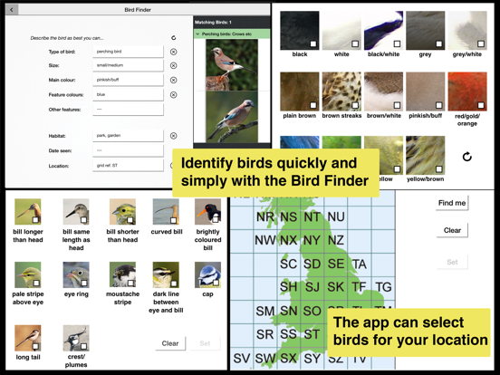 Screenshot #5 pour Birds of Britain Pro