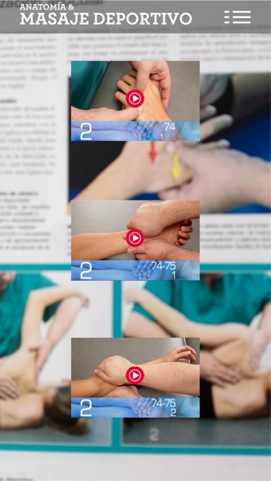Anatomy & Sports Massage ARのおすすめ画像4