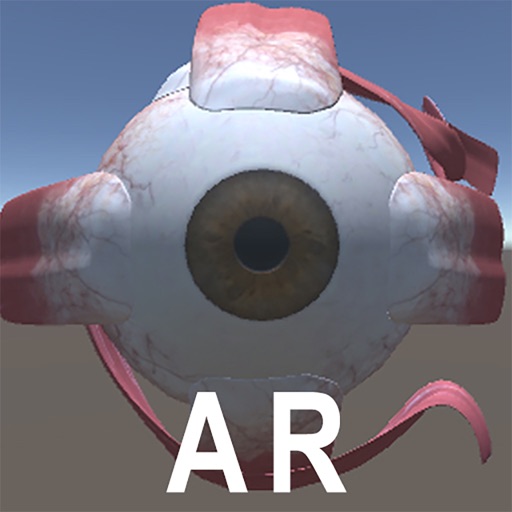 AREyeCU Download