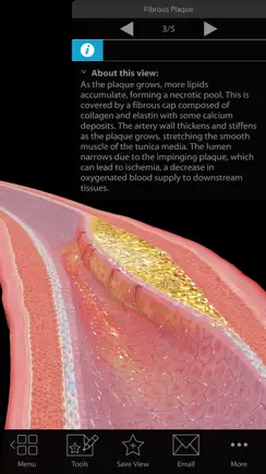 Physiology & Pathology iPhone image 2