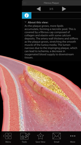 Physiology & Pathology screenshot