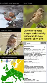 Birds of Britain Pro iphone bilder 3