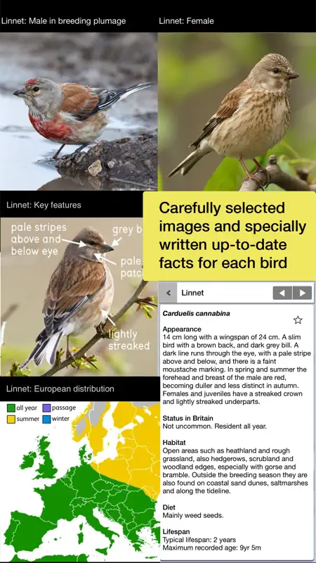 Birds of Britain Pro screenshot 4 of 10