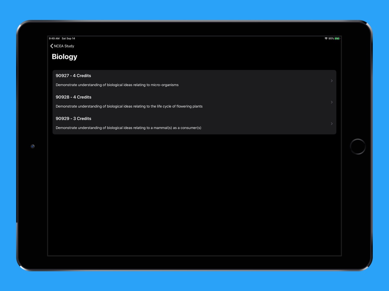 iPad screenshot