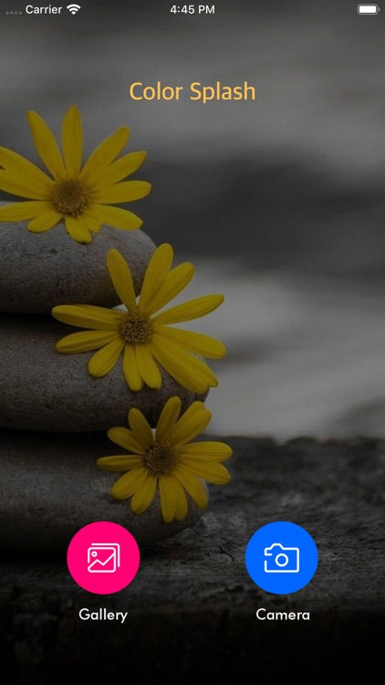 Color Splash Photo Editor::Appstore for Android