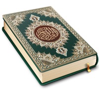 Koran Read 30 Juz Offline apk