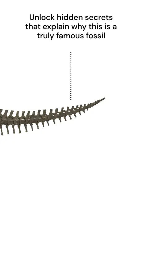 Famous Fossil
