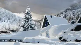 Game screenshot Christmas Postcard 2023 apk
