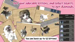 My Kittens screenshot 1