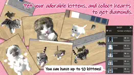 my kittens problems & solutions and troubleshooting guide - 1